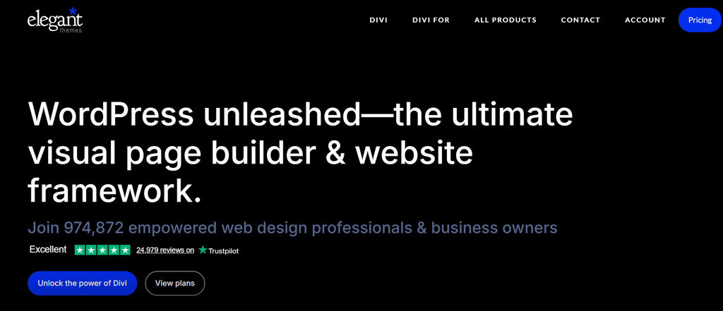 divi theme by elegant theme
